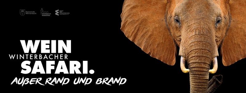 Winterbacher Weinsafari 2019