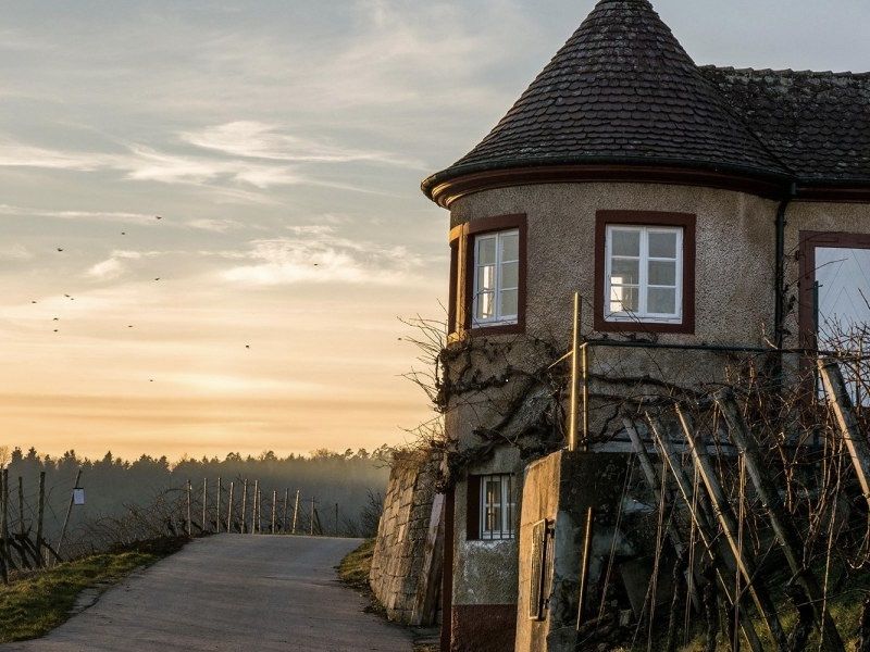 It´s wine o´clock!